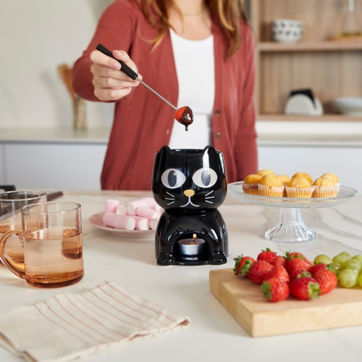 Gatto per fonduta termosensibile