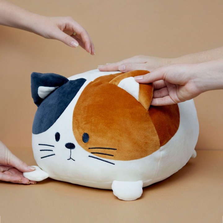 Cuscino Gatto