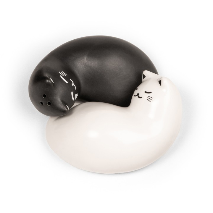 Sale e pepe Coppia di gatti