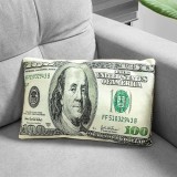 Cuscino 100 Dollari