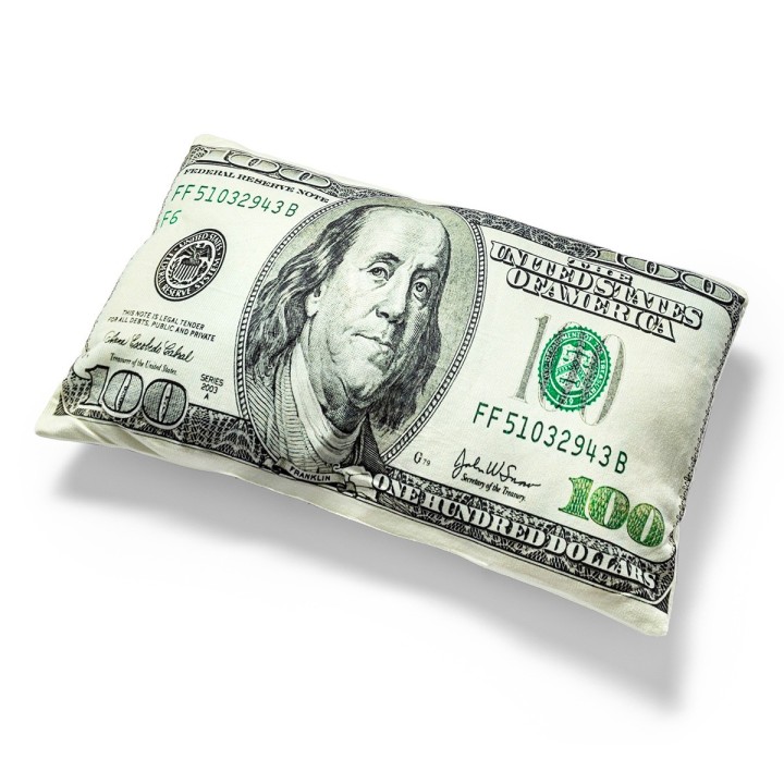 Cuscino 100 Dollari