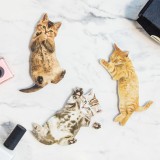 Gatto lima per unghie
