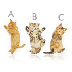Gatto lima per unghie