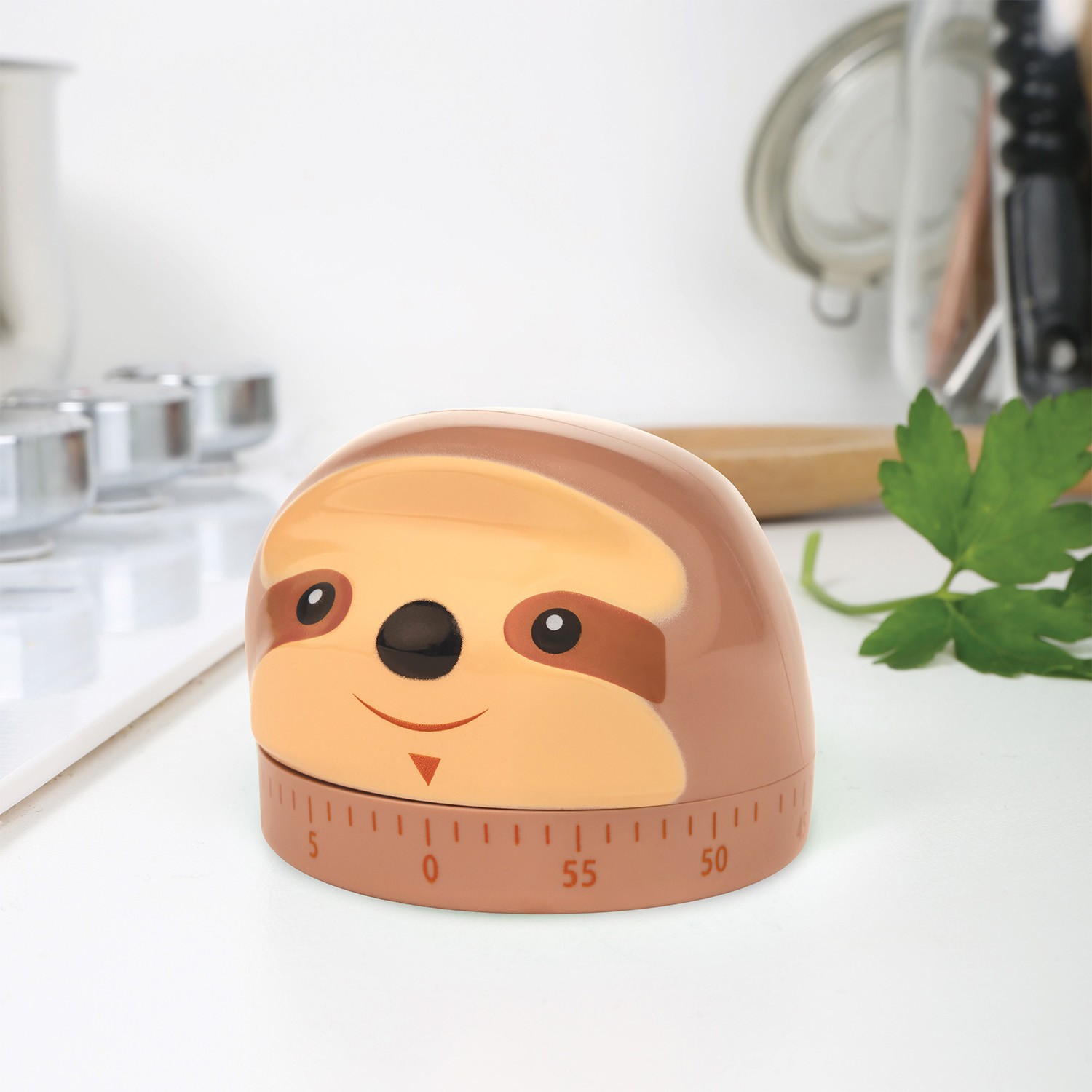 Timer da cucina Bradipo