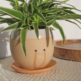 Vaso piangente