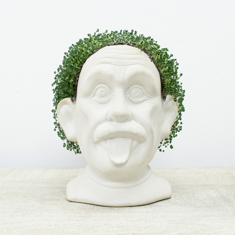 Einstein Erboso