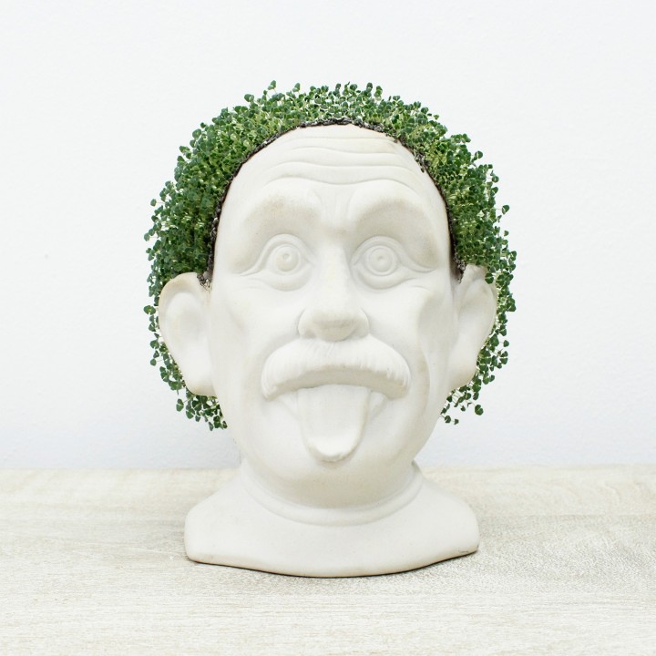 Einstein Erboso