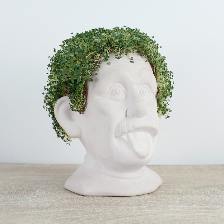 Einstein Erboso