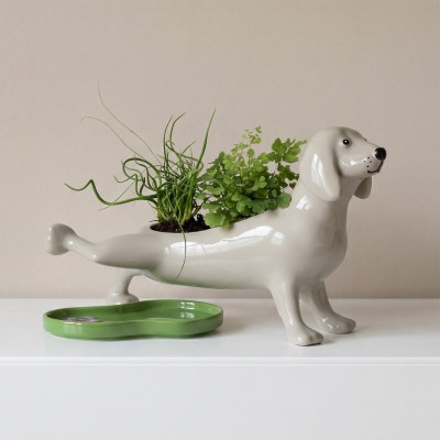 Vaso cane che fa pipì