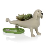 Vaso cane che fa pipì