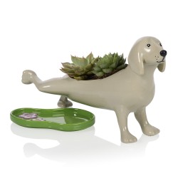 Vaso cane che fa pipì