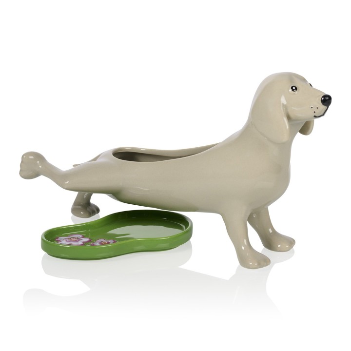 Vaso cane che fa pipì