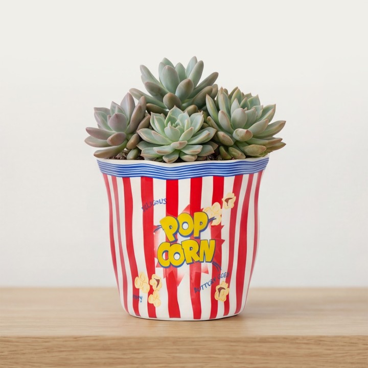 Ciotola per popcorn in ceramica