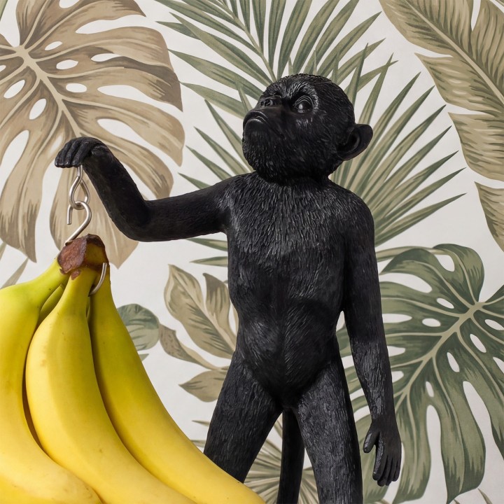 Scimmia porta banane