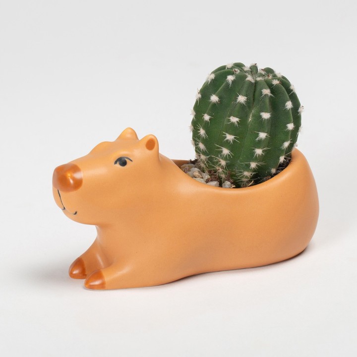 Vaso Capibara