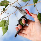 Forbici da giardinaggio Picchio