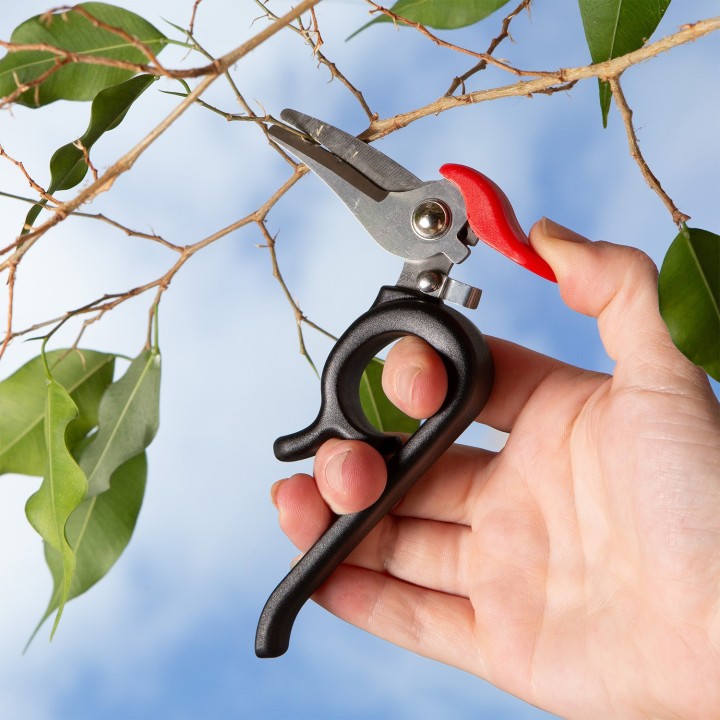 Forbici da giardinaggio Picchio