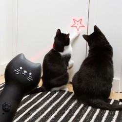 Gatto Puntatore laser