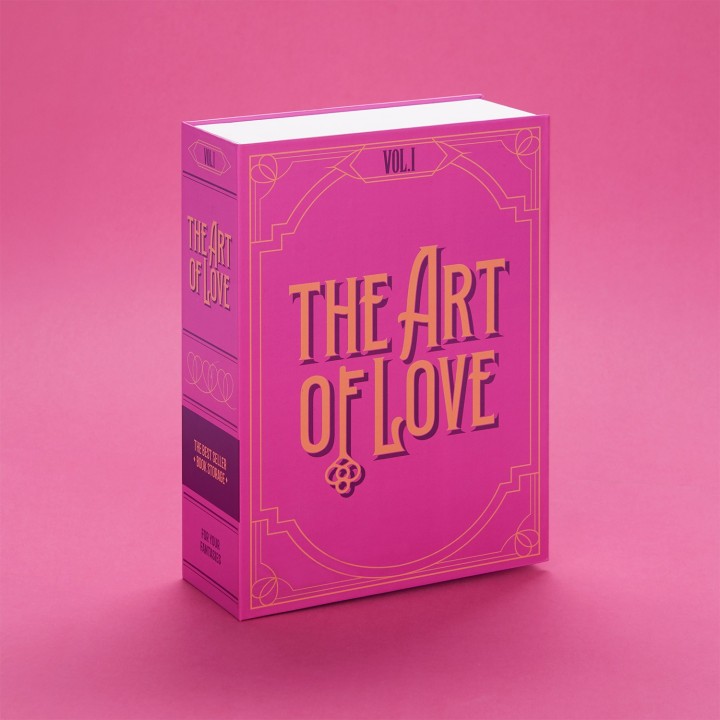 Libro nascondiglio segreto Love
