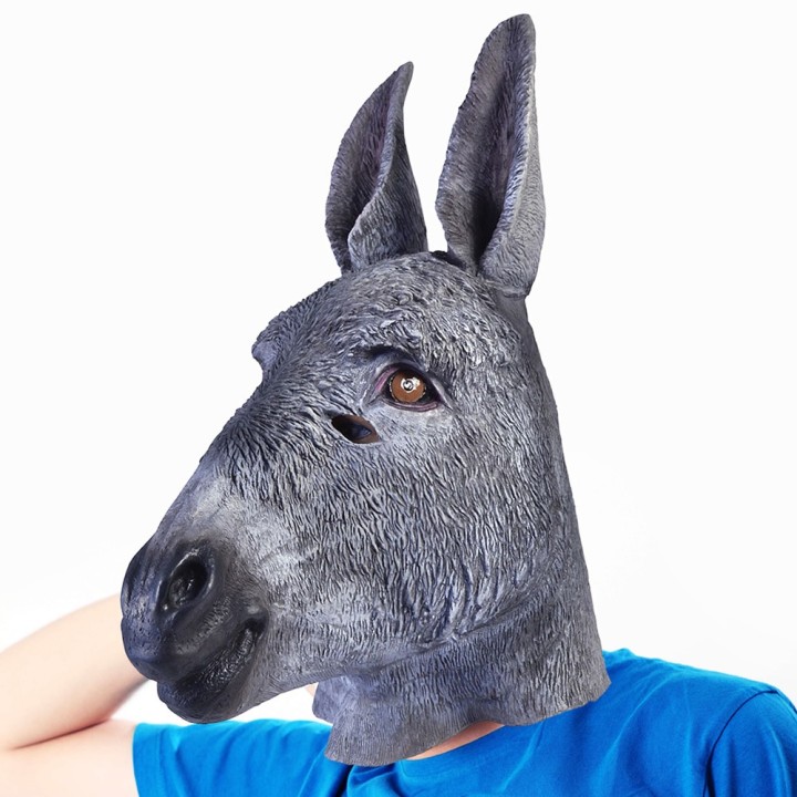 Maschera da Asino