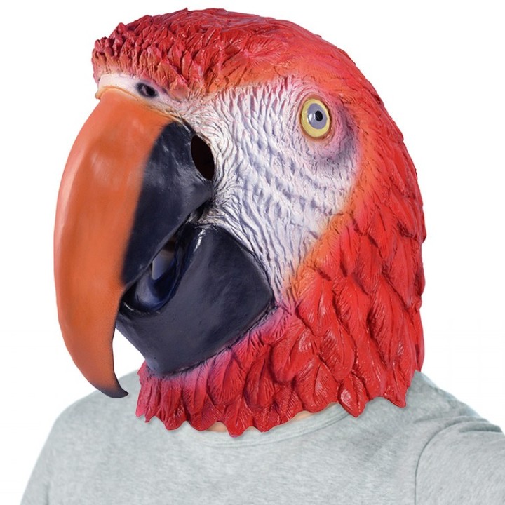 Maschera da Pappagallo