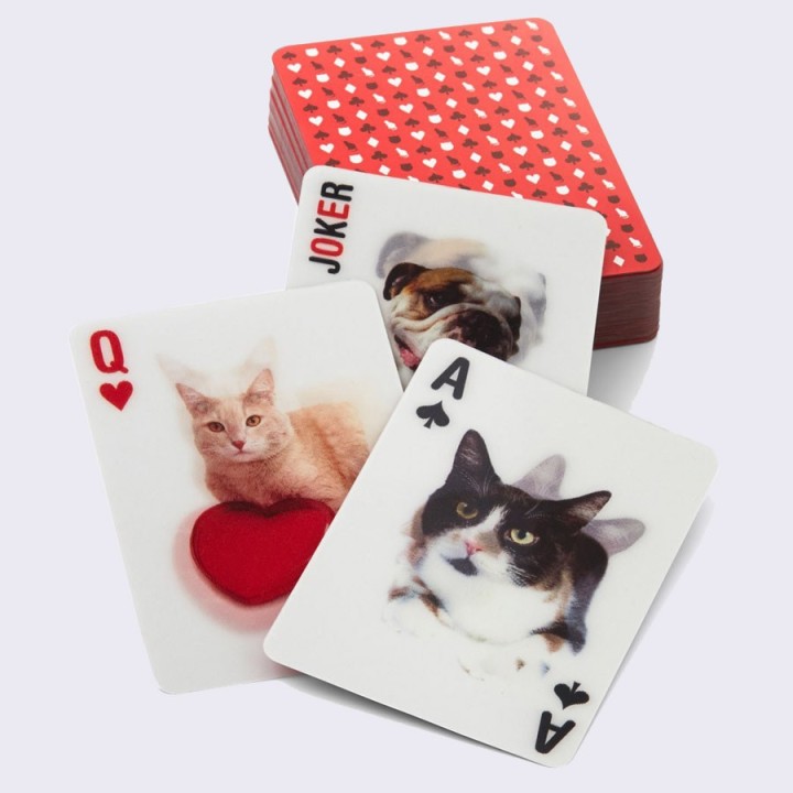 Carte 3D Gatti