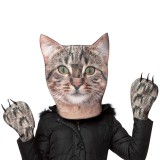 Costume Gatto