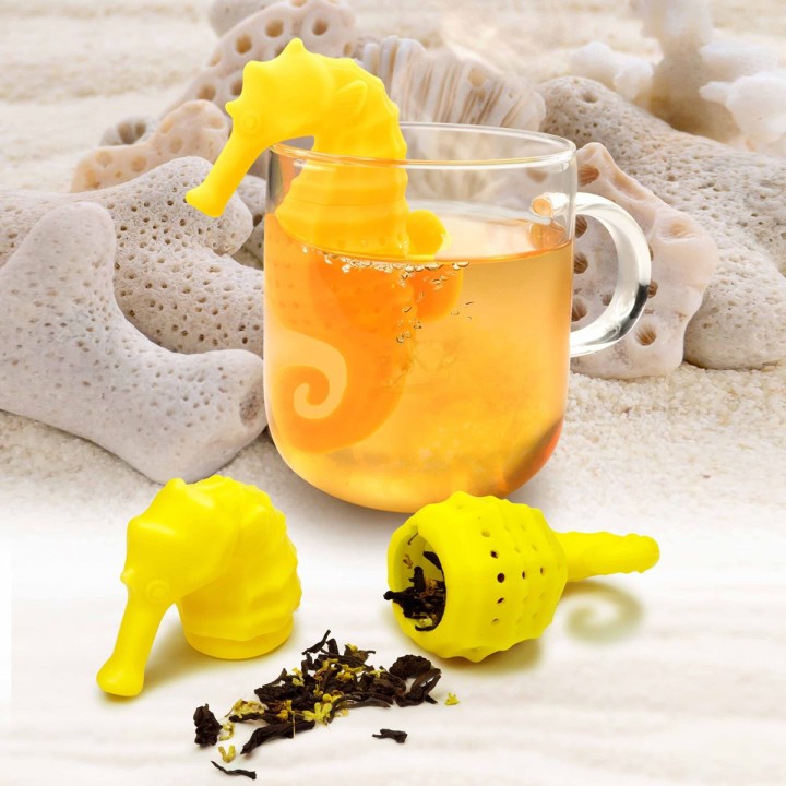 Infusore Cavalluccio marino