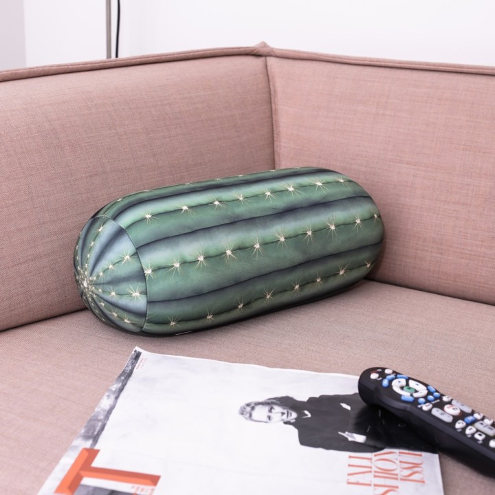Cuscino Cactus 