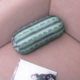 Cuscino Cactus 