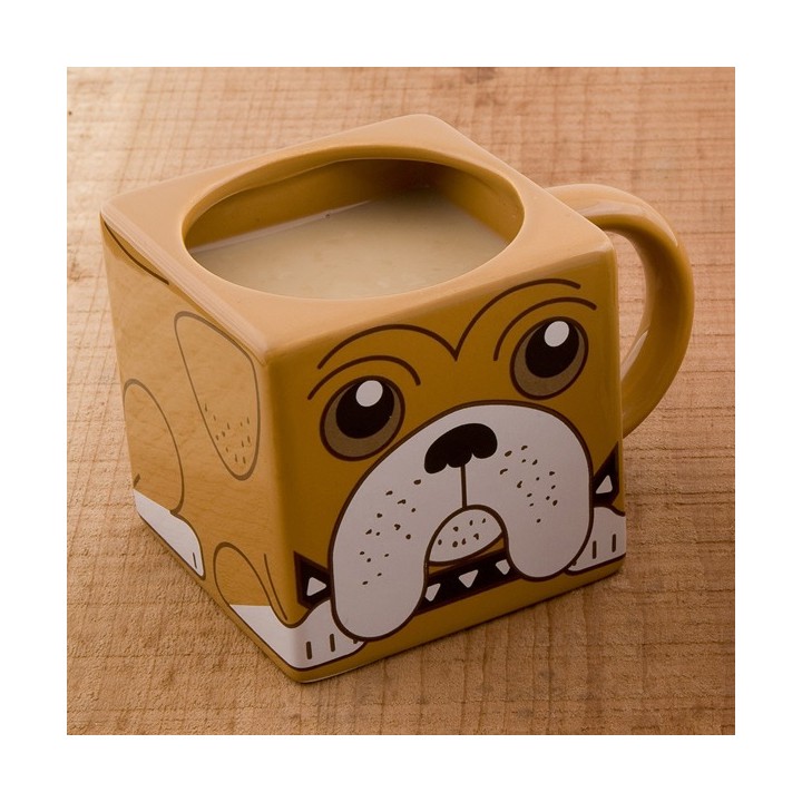 Mug Boxer