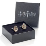 Gemelli di Hogwarts