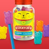 Gomme Lucky Cat