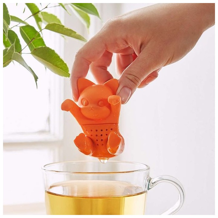 Infusore Gattino