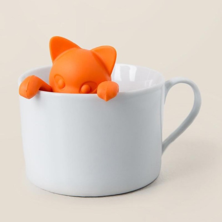 Infusore Gattino