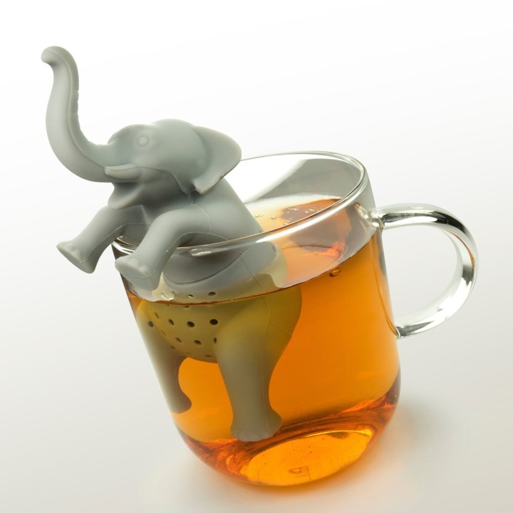 Infusore Elefante