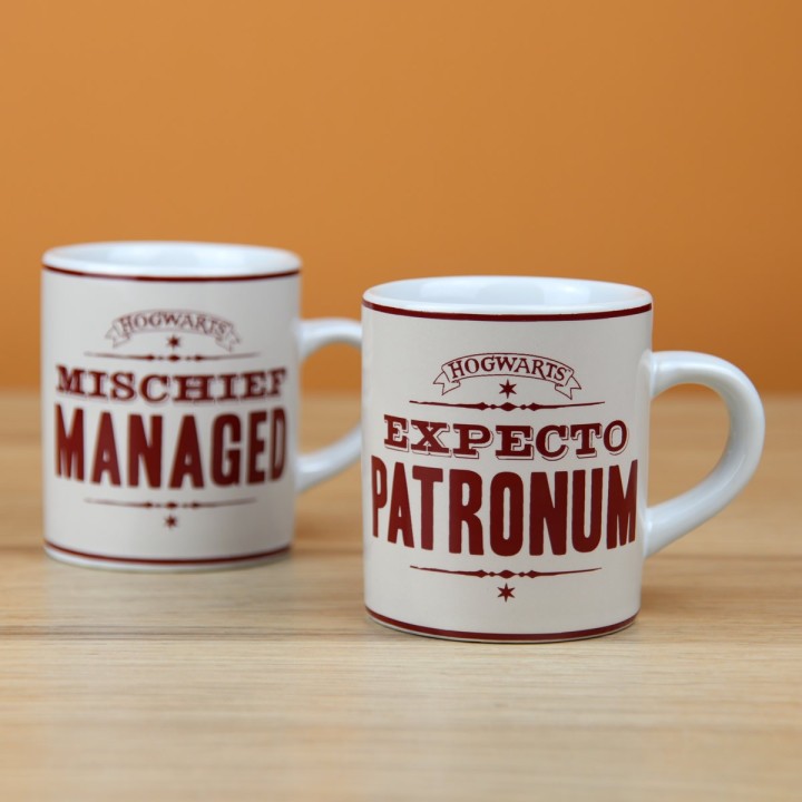 Tazzine degli incantesimi - Harry Potter