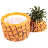 Ananas porta ghiaccio