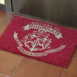 Zerbino di Hogwarts