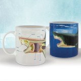 Mug termosensibile Squalo