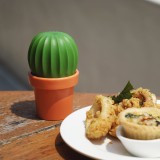 Cactus Macinapepe