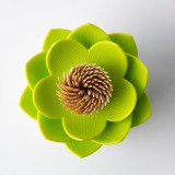 Fiore di loto portastuzzicadenti