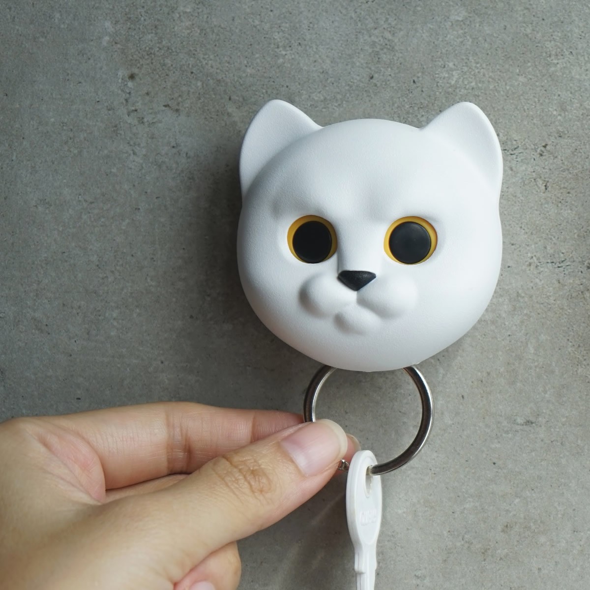 Gatto Appendichiavi