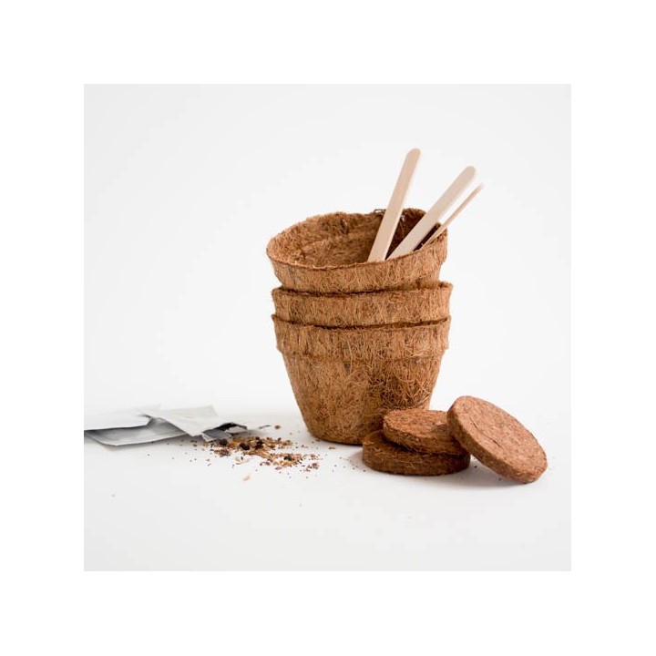 Kit Fai crescere la tua Marijuana