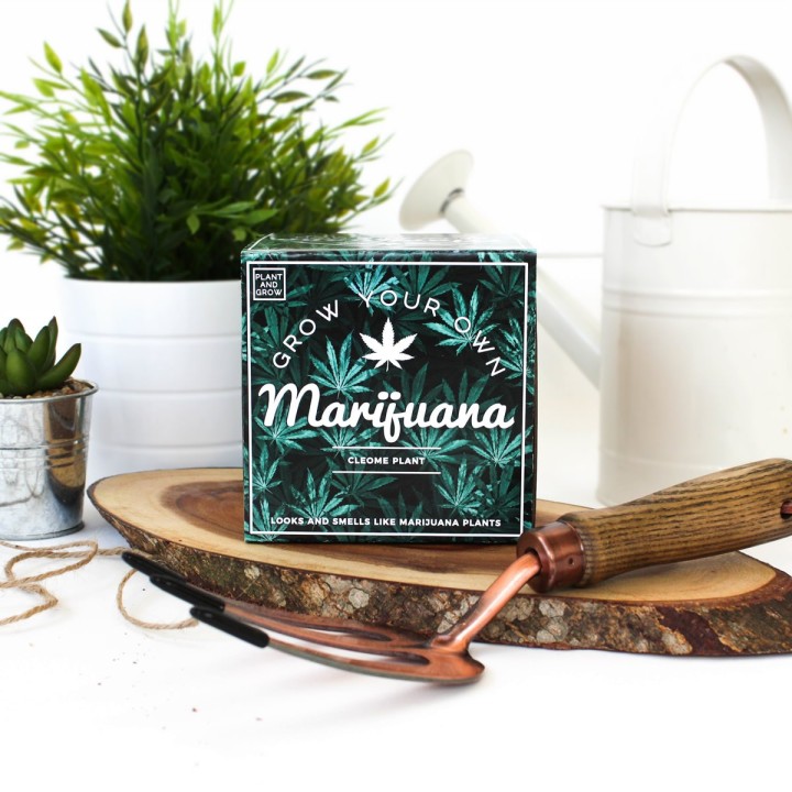 Kit Fai crescere la tua Marijuana