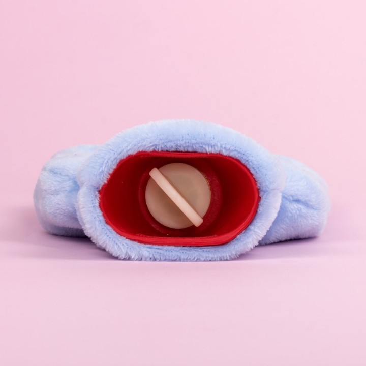 Borsa acqua calda Pusheen