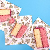 Set da compleanno Pusheen Cat