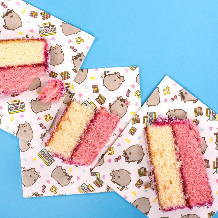 Set da compleanno Pusheen Cat
