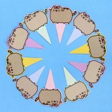 Set da compleanno Pusheen Cat