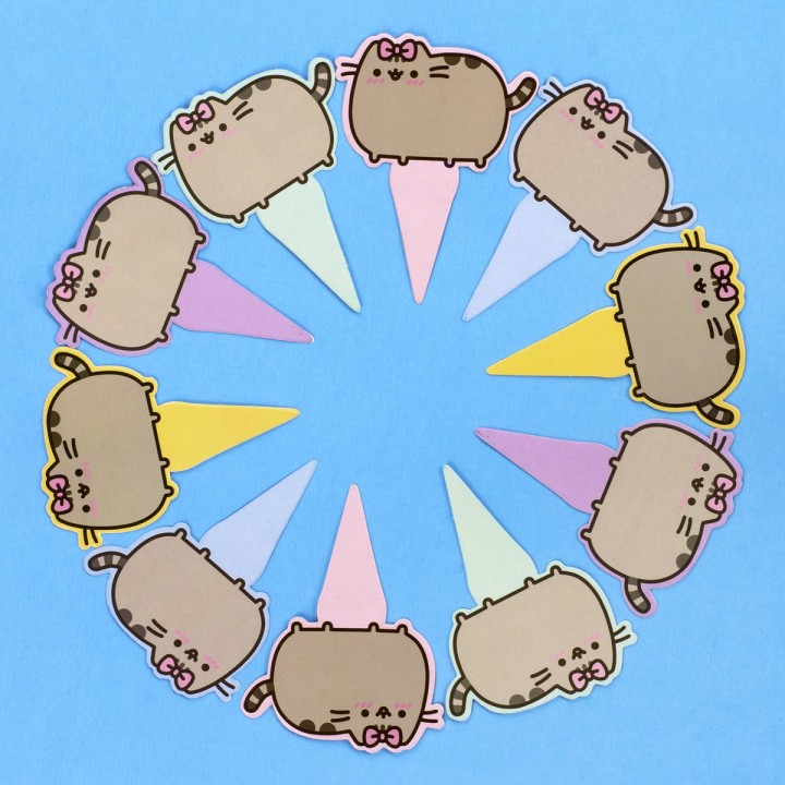 Set da compleanno Pusheen Cat
